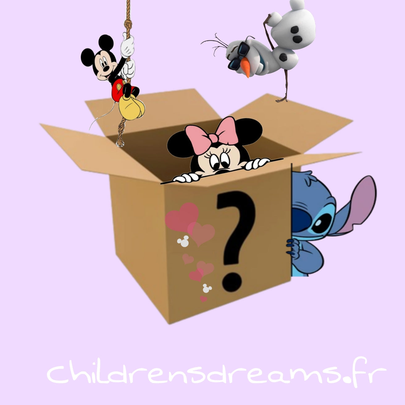 Colis mystère adulte Disney